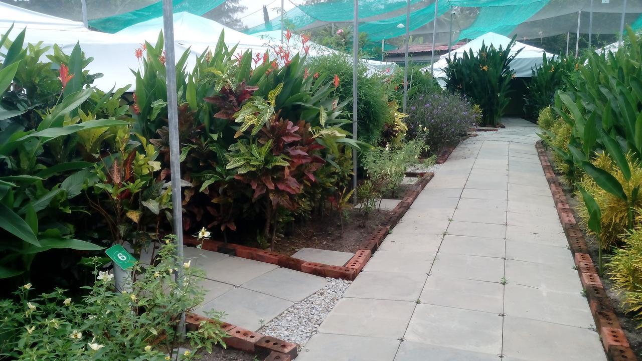 T Garden Villa Pantai Cenang  Exterior foto