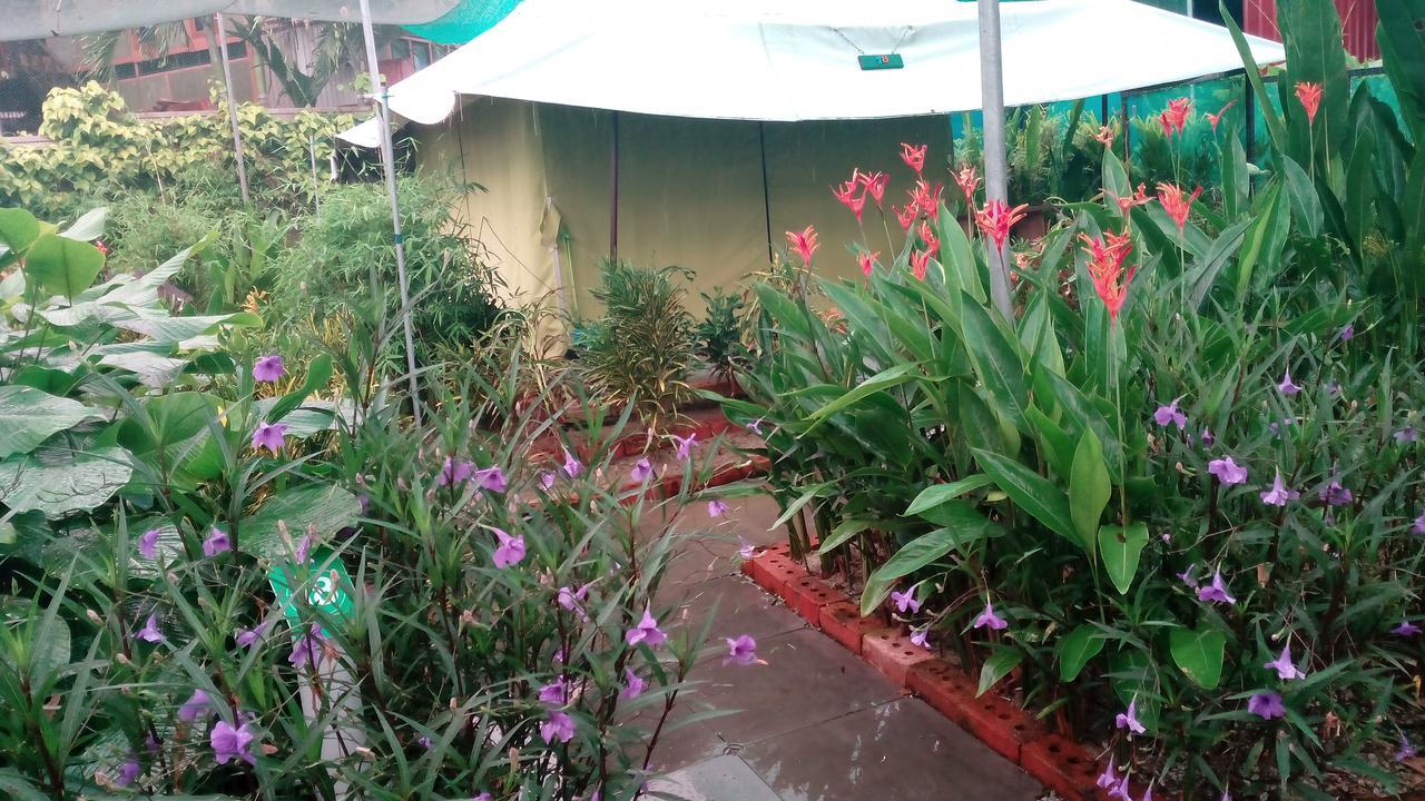 T Garden Villa Pantai Cenang  Exterior foto